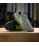 Pánské boty na CrossFit Nike Metcon 9 - tmavě zelené